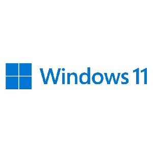 SISTEMA OPERATIVO WINDOWS 11 PRO 64 BIT ITA (FQC-10538) DVD
